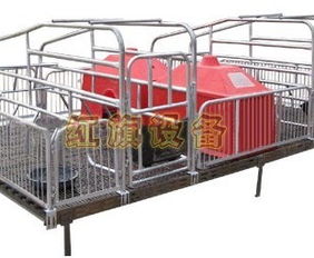 安平縣紅旗養(yǎng)豬設(shè)備廠 專(zhuān)注于養(yǎng)殖設(shè)備供應(yīng)的可靠合作伙伴